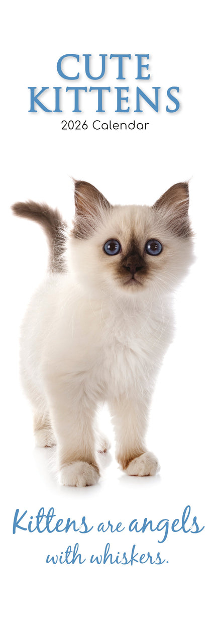 The Gifted Stationary Cute Kittens Slimline Kalender 2026