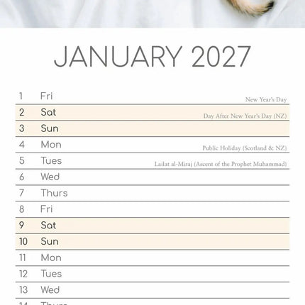 The Gifted Stationary Cute Kittens Slimline Kalender 2027