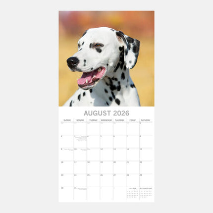 The Gifted Stationary Dalmatiër Kalender 2026