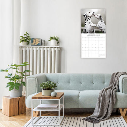 The Gifted Stationary Dalmatiër Kalender 2026