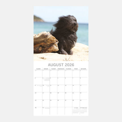 The Gifted Stationary Dogs in the Wind Kalender 2026