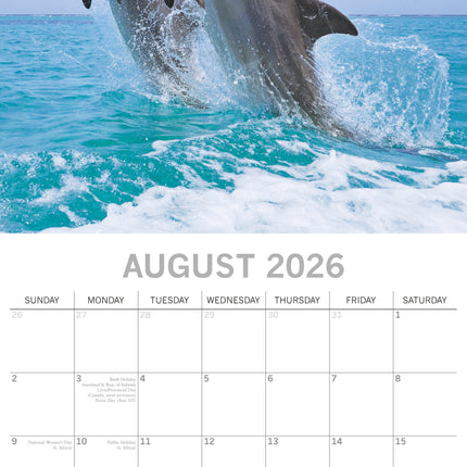 The Gifted Stationary Dolfijnen Kalender 2026