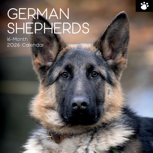 The Gifted Stationary Duitse Herder Kalender 2026