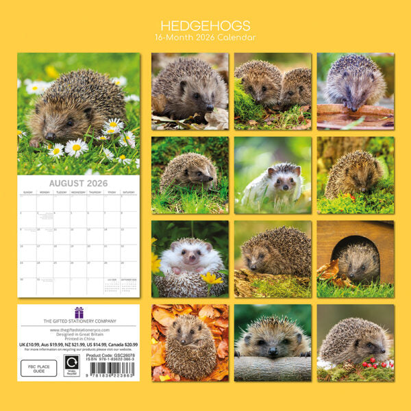 The Gifted Stationary Egel Kalender 2026