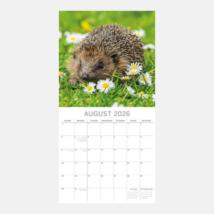 The Gifted Stationary Egel Kalender 2026