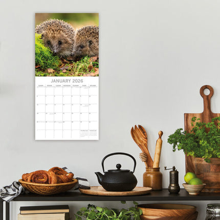 The Gifted Stationary Egel Kalender 2026