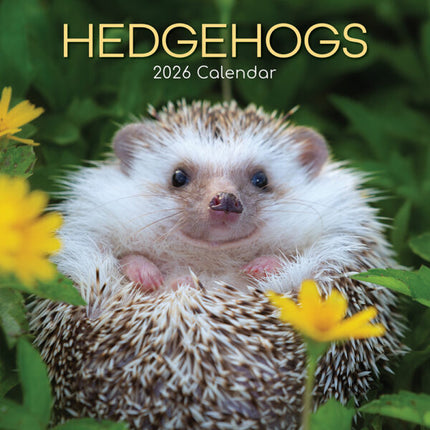 The Gifted Stationary Egel Kalender 2026