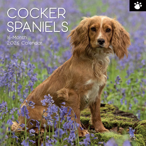 The Gifted Stationary Engelse Cocker Spaniel Kalender 2026