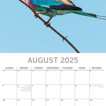 The Gifted Stationary Exotic Birds Kalender 2025
