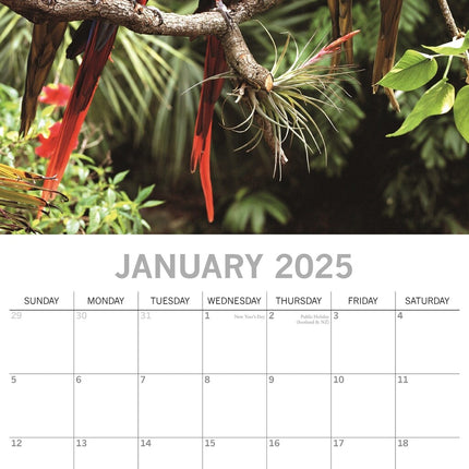 The Gifted Stationary Exotic Birds Kalender 2025
