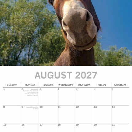 The Gifted Stationary Ezel Kalender 2027