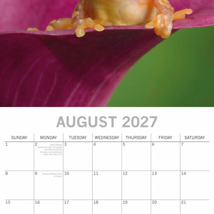 The Gifted Stationary Fabulous Frogs Kalender 2027