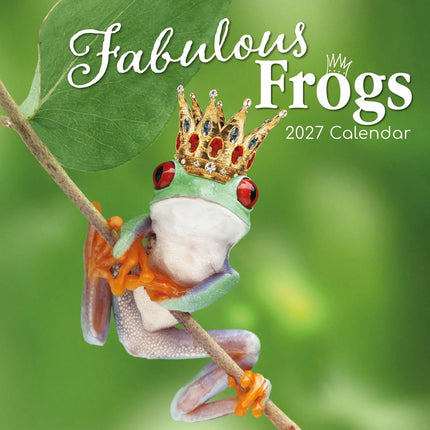 The Gifted Stationary Fabulous Frogs Kalender 2027