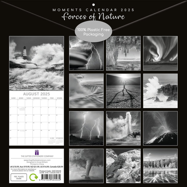 The Gifted Stationary Forces of Nature Kalender 2025