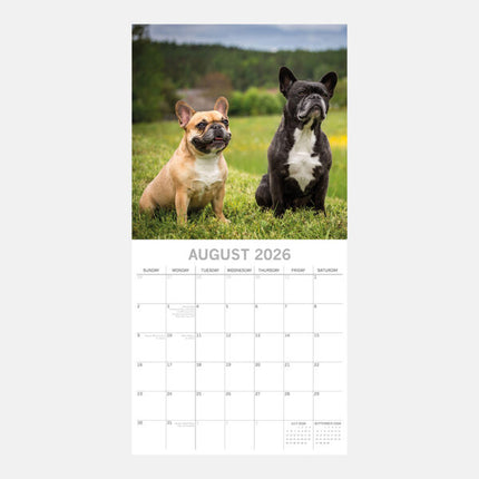 The Gifted Stationary Franse Bulldog Kalender 2026