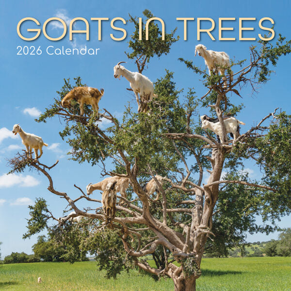 The Gifted Stationary Goats in Trees Kalender 2026