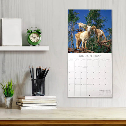The Gifted Stationary Goats in Trees Kalender 2027