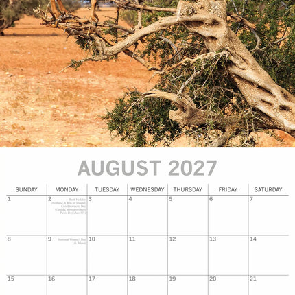 The Gifted Stationary Goats in Trees Kalender 2027