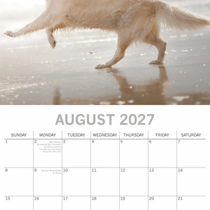 The Gifted Stationary Golden Retriever Kalender 2027