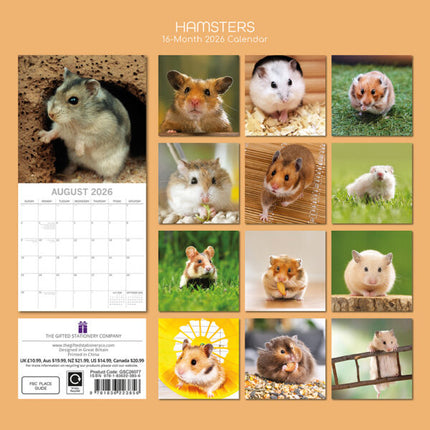 The Gifted Stationary Hamster Kalender 2027