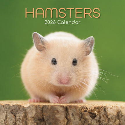 The Gifted Stationary Hamster Kalender 2027