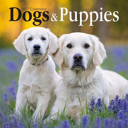 The Gifted Stationary Honden en Puppies Kalender 2027