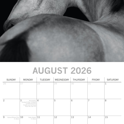 The Gifted Stationary Horses Portraits Kalender 2026
