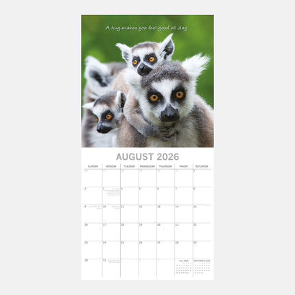 The Gifted Stationary Hugs 16 Maanden Kalender 2026