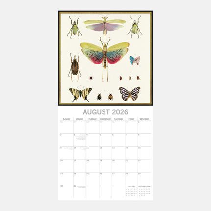 The Gifted Stationary Insects Kalender 2026