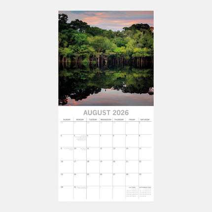 The Gifted Stationary Jungles 16 maanden Kalender 2026
