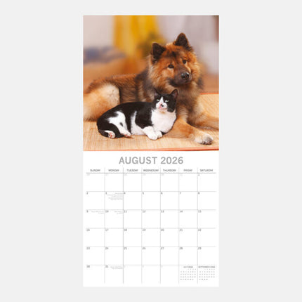The Gifted Stationary Katten & Honden Kalender 2026