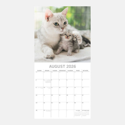 The Gifted Stationary Katten & Kittens Kalender 2026