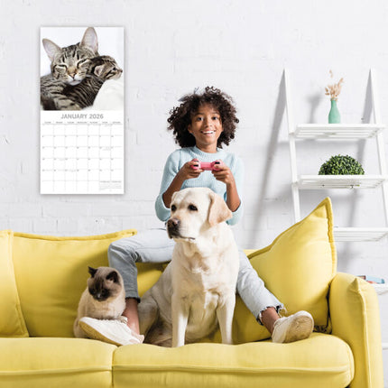 The Gifted Stationary Katten & Kittens Kalender 2026