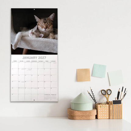 The Gifted Stationary Katten & Kittens Kalender 2027