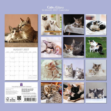 The Gifted Stationary Katten & Kittens Kalender 2027