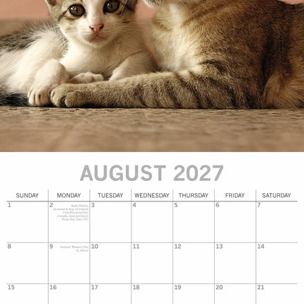 The Gifted Stationary Katten & Kittens Kalender 2027
