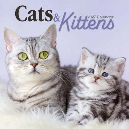 The Gifted Stationary Katten & Kittens Kalender 2027
