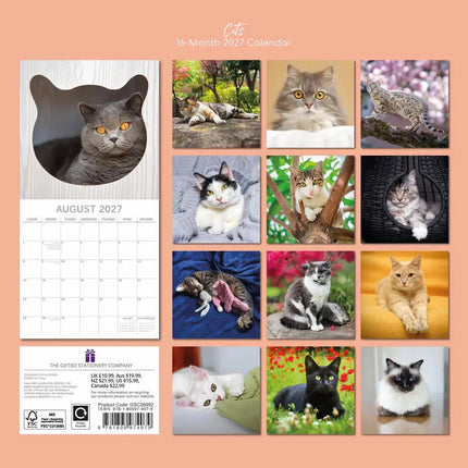The Gifted Stationary Katten Portretten Kalender 2027