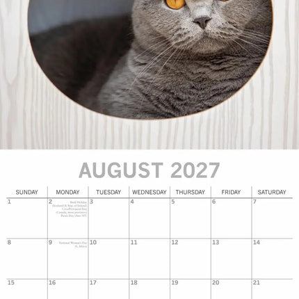 The Gifted Stationary Katten Portretten Kalender 2027