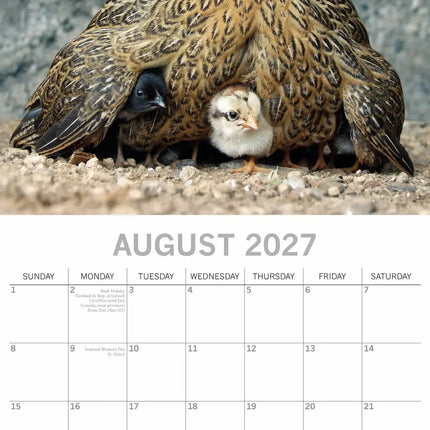 The Gifted Stationary Kippen Kalender 2027