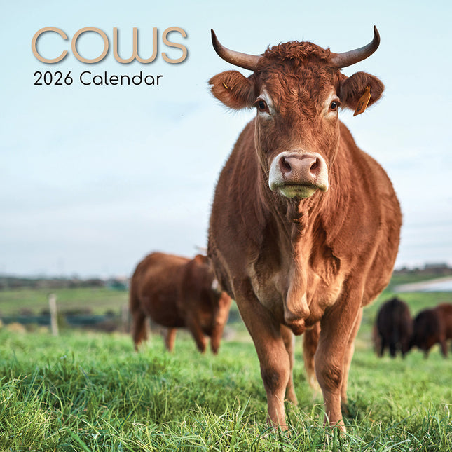 The Gifted Stationary Koeien Kalender 2026