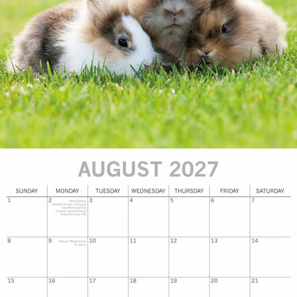 The Gifted Stationary Konijnen Kalender 2027