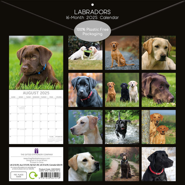 The Gifted Stationary Labrador Retriever Mixed Kalender 2025