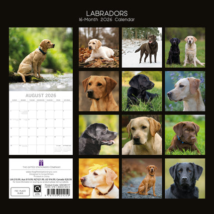 The Gifted Stationary Labrador Retriever Mixed Kalender 2026