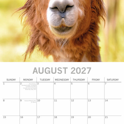 The Gifted Stationary Lama's Kalender 2027