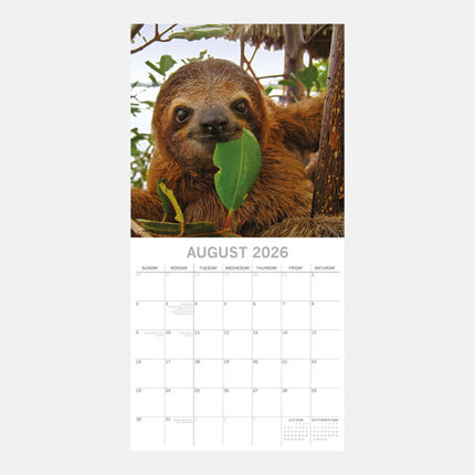 The Gifted Stationary Luiaard Kalender 2026