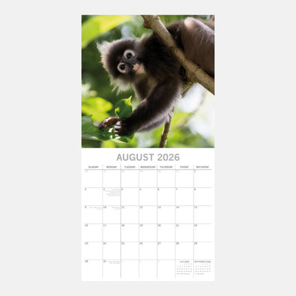The Gifted Stationary Monkey Business Kalender 2027