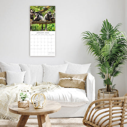 The Gifted Stationary Monkey Business Kalender 2027