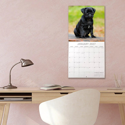 The Gifted Stationary Mopshond Kalender 2027