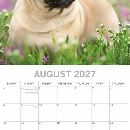 The Gifted Stationary Mopshond Kalender 2027
